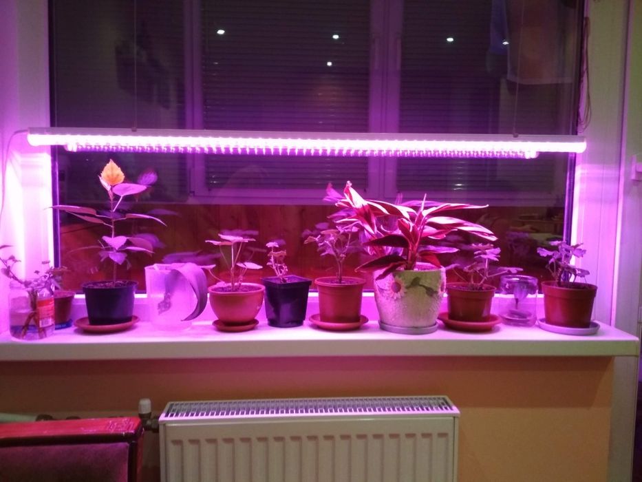 Продам фітолампу