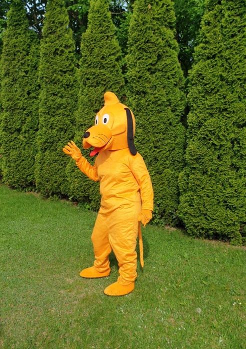 Dmuchańce, zjeżdżalnie, tory przeszkód, kule wodne, organizacja imprez