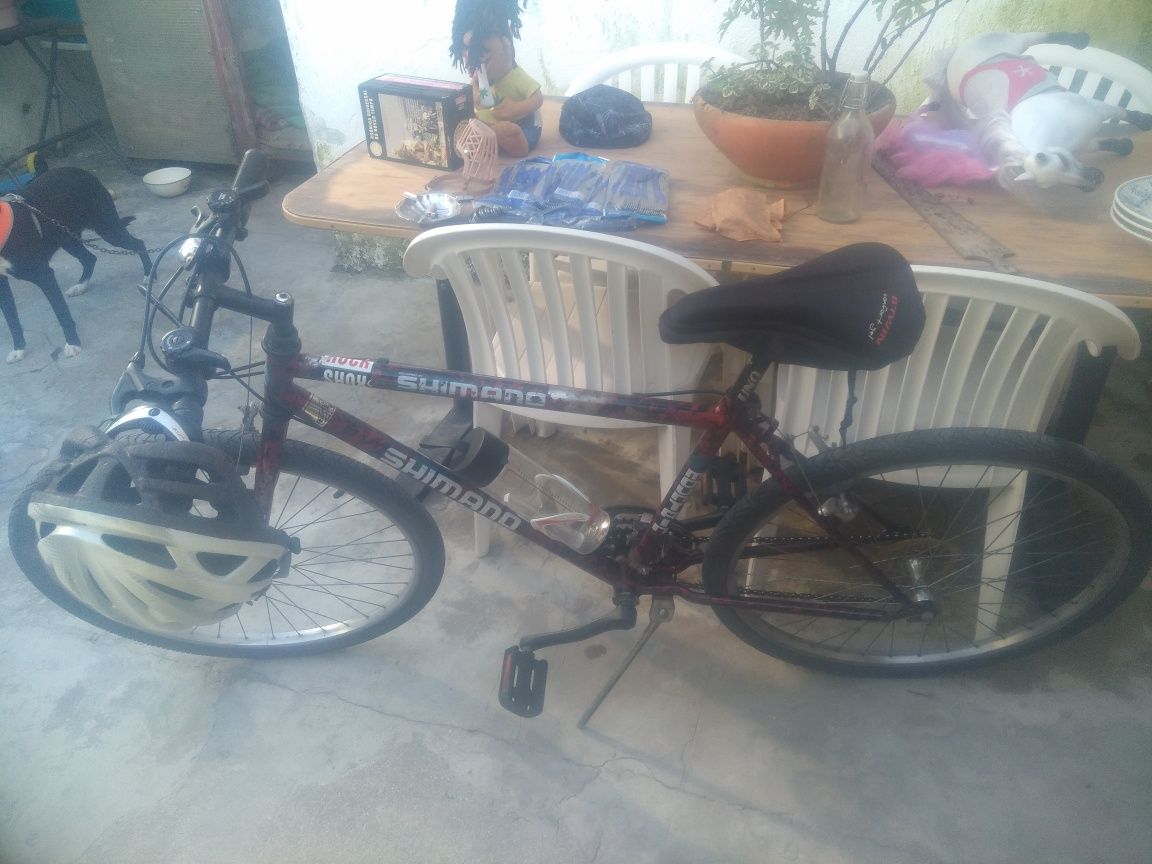 Bicicleta de montanha