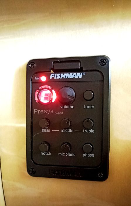 Акустична гітара Gibson j200