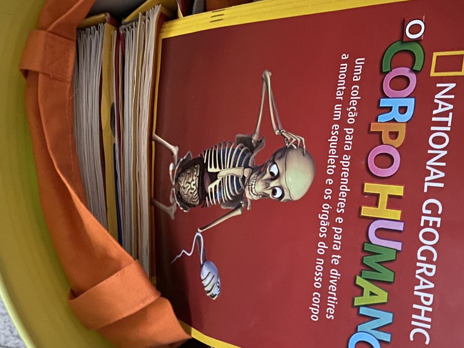 Esqueleto corpo humano ( tamanho digno)