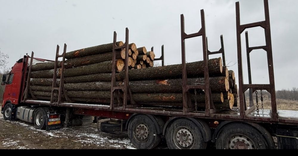 Послуги лісовоз-сортиментовоз — перевезення лісу та деревини.