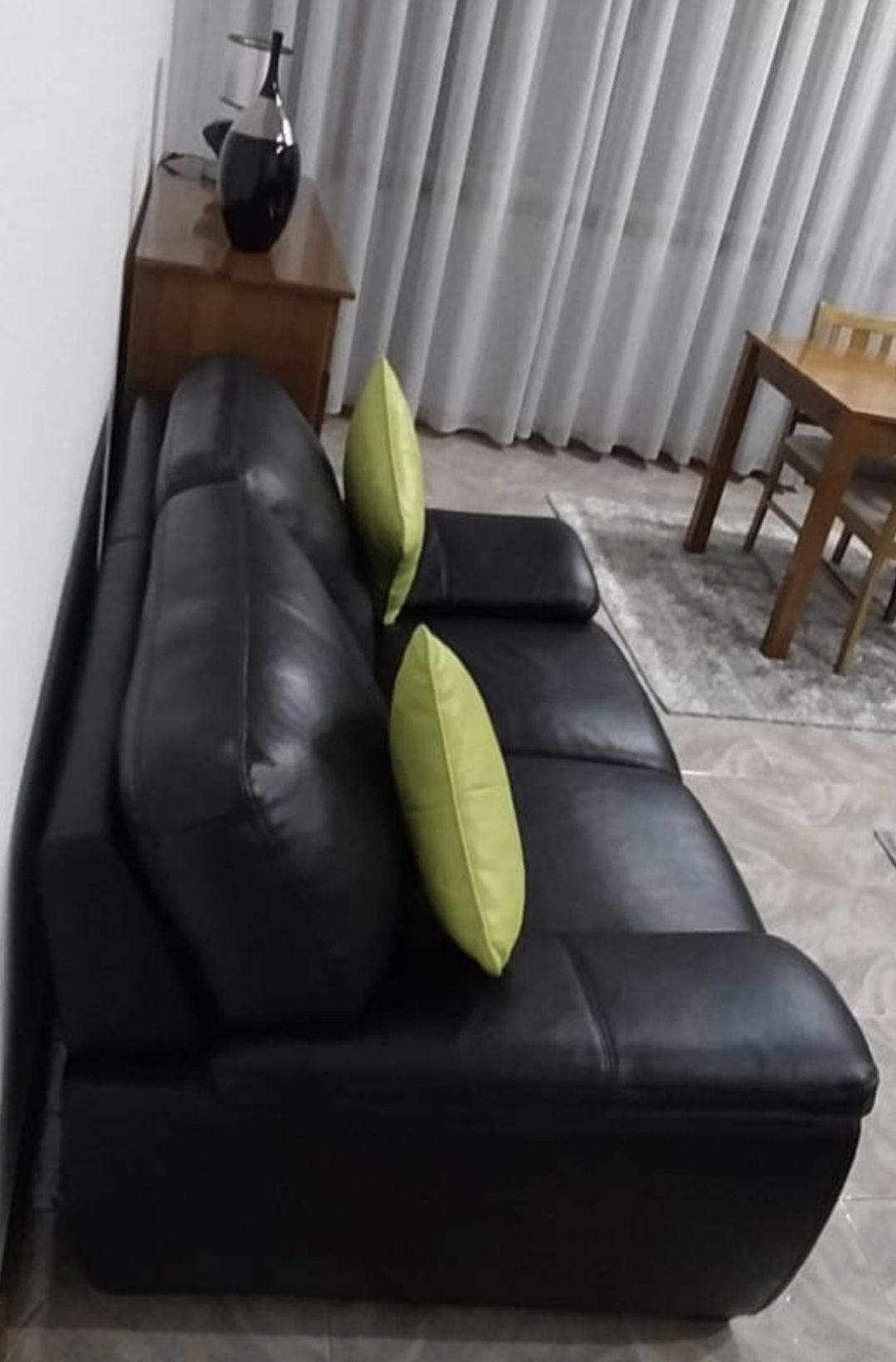 Sofas   em  pele