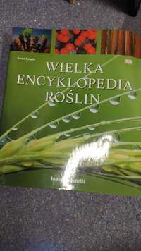 Wielka encyclopaedia roślin