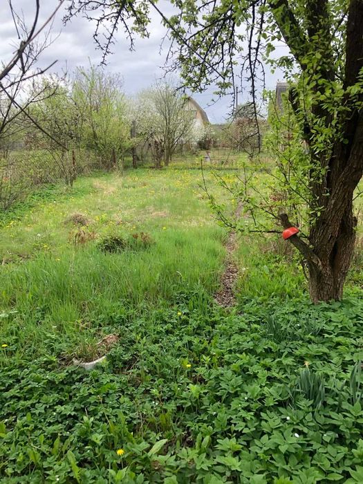 Продається дачний будинок в Братківцях