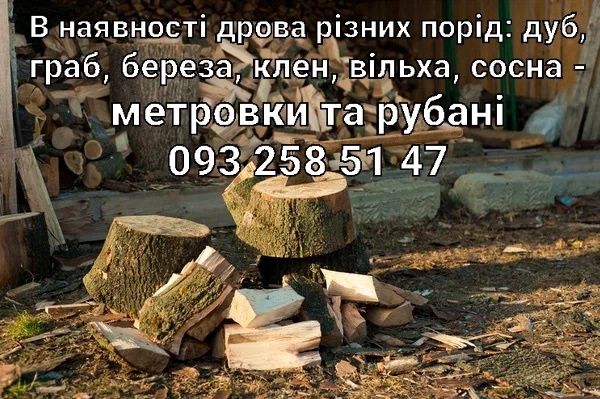 Дрова різних порід