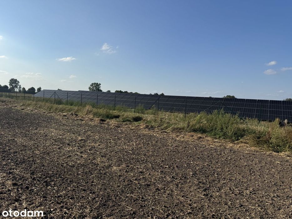 Sprzedam wydzierżawiony grunt  w miejscowości Jedlno Drugie