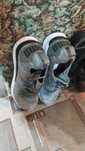 Красовки фирменные PUMA