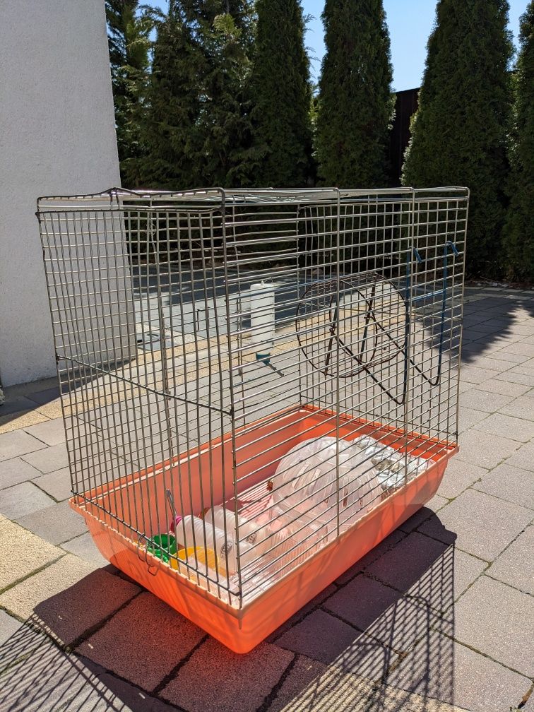 Klatka Dla Gryzonia Z Wyposażeniem