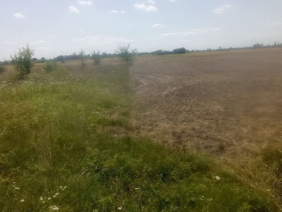 Продам участок под строительство с. Сеньковка