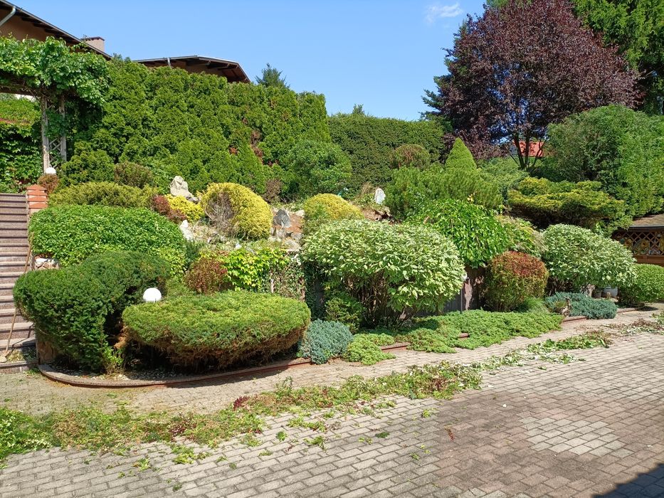 Usługi ogrodnicze, koparko-ładowarka, mini-koparka, pielęgnacja, ROD