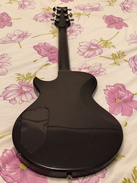 Canon 700D, Ibanez ART