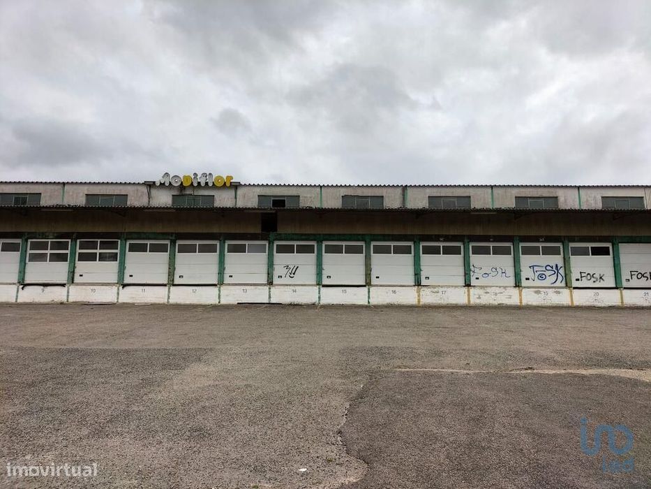 Loja / Estabelecimento Comercial em Queluz e Belas de 6235,00 m2