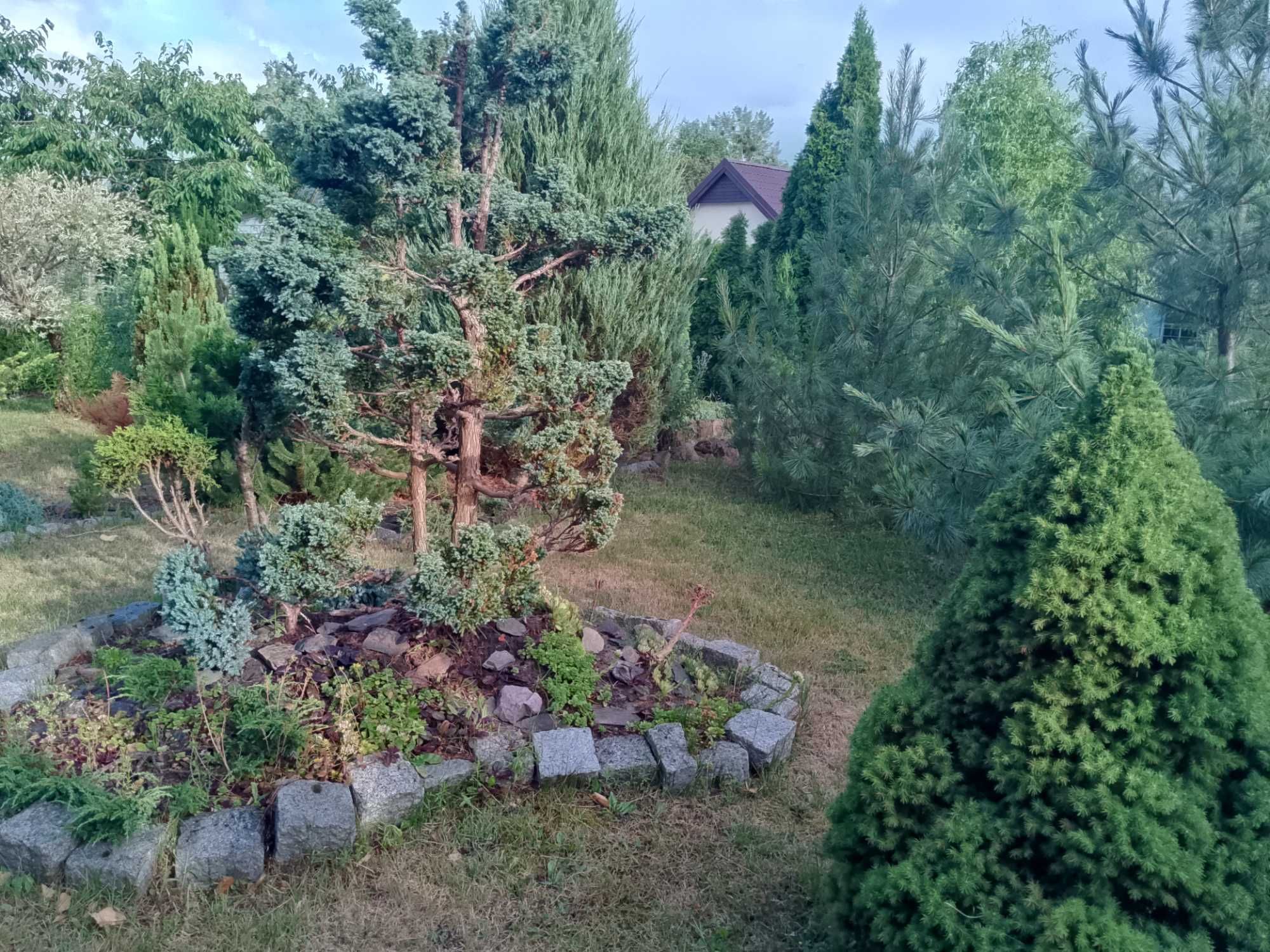 Dzialka ROD Kolejarz bezposredni dostep do rzeki Gwdy