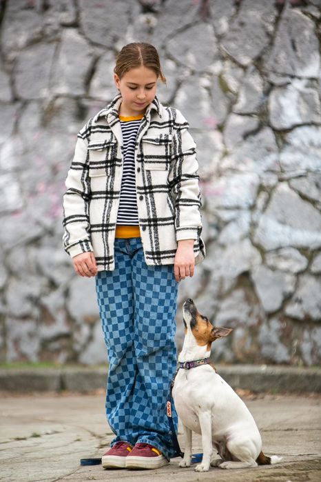 Дресирування собак ( кінолог , хендлер)