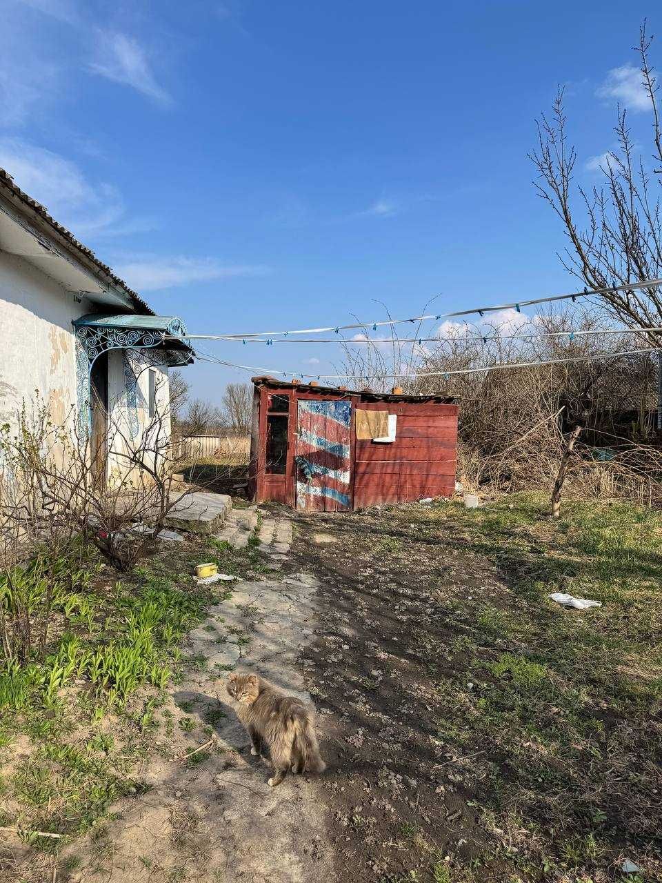 Продаж будинку та 25сот. с. Пирогівці Хмельницької обл.
