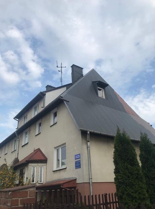 Malowanie dachów, elewacji Wycinka drzew trudnych, rozbiórka kominów