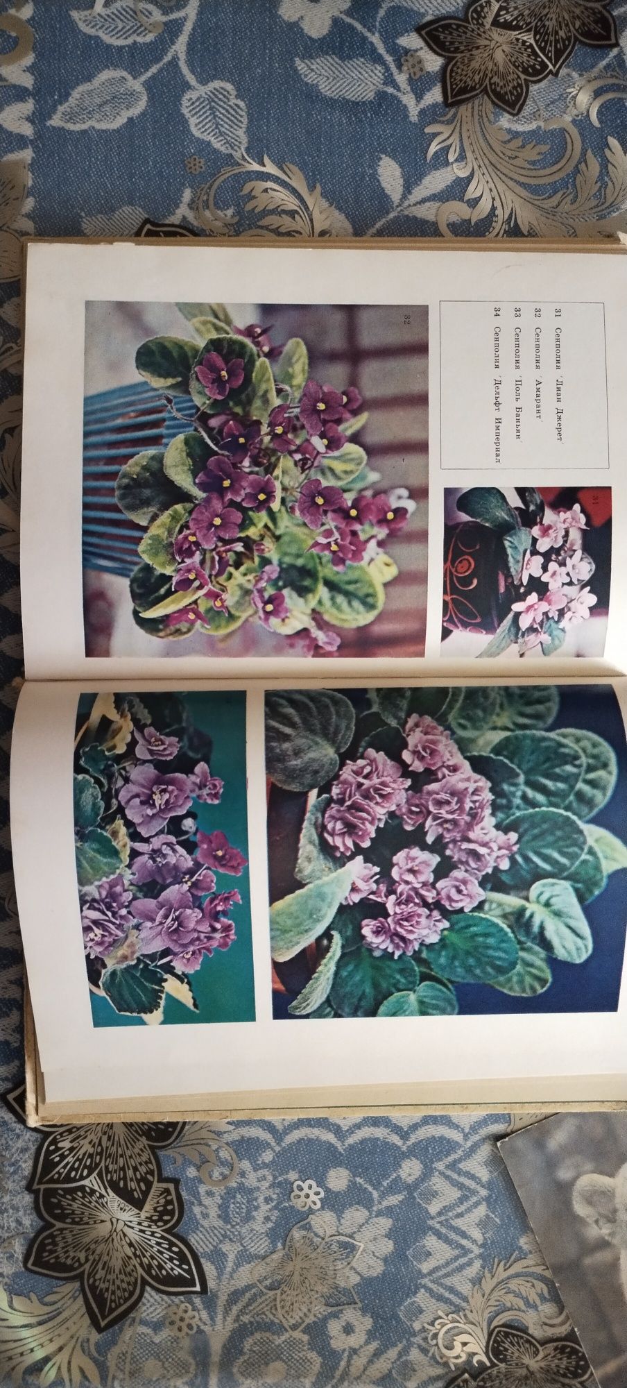 Книга комнатное цветоаодство 1977