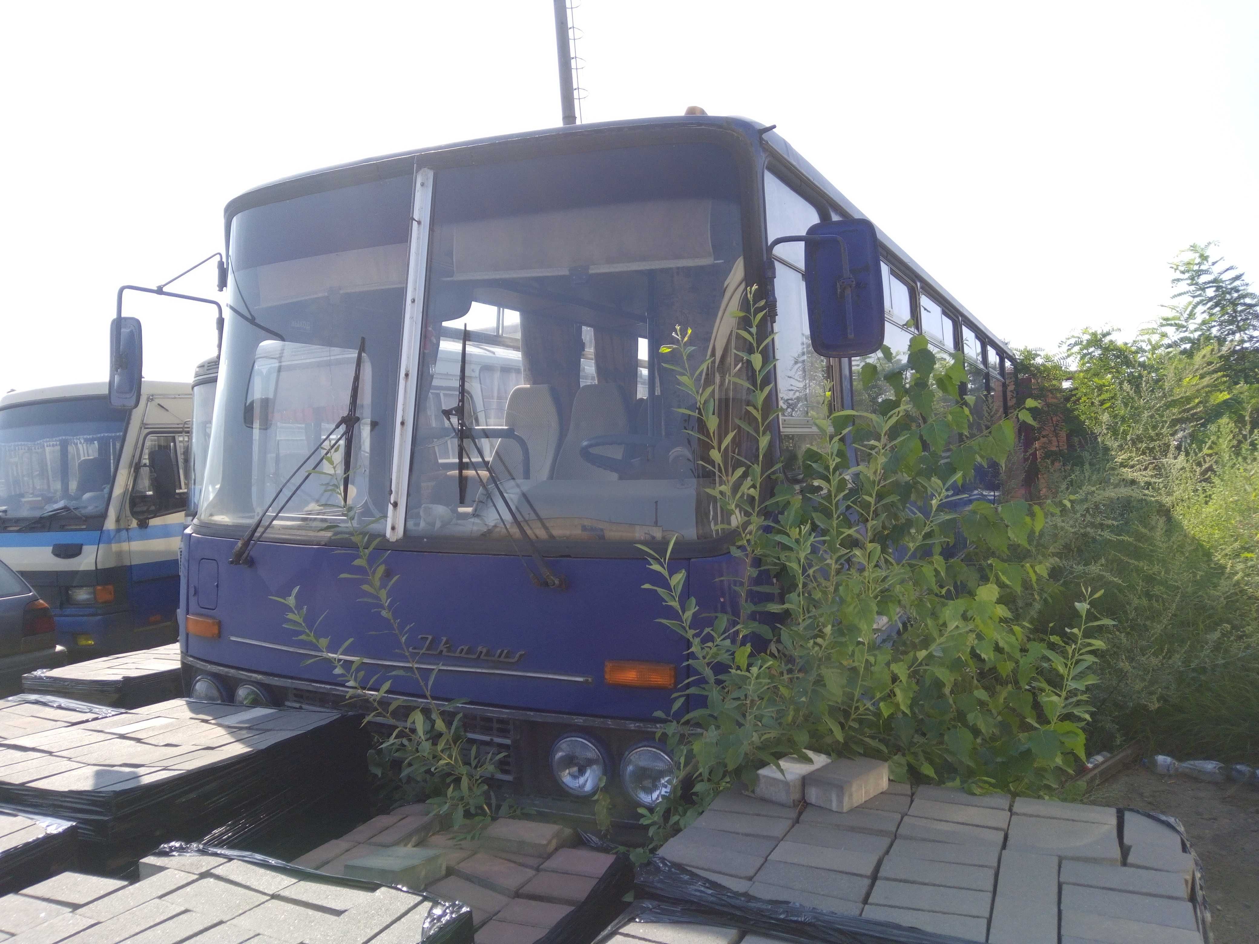 Автобус IKARUS 256