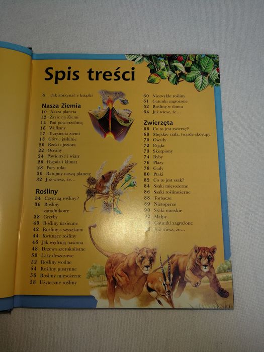 Wszystko co warto wiedzieć. Encyklopedia dla dociekliwych.