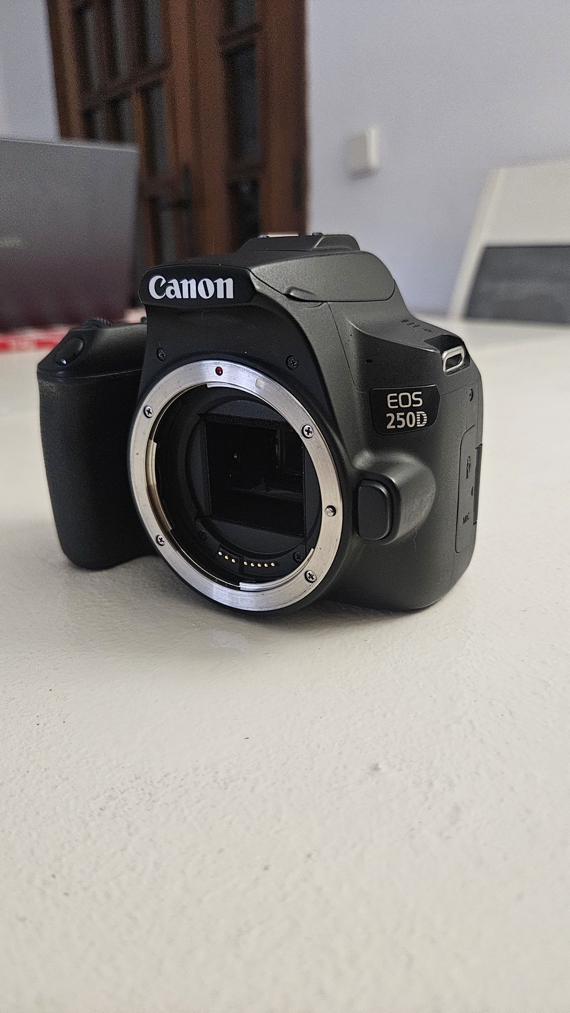Canon 250D + Objetiva 50mm