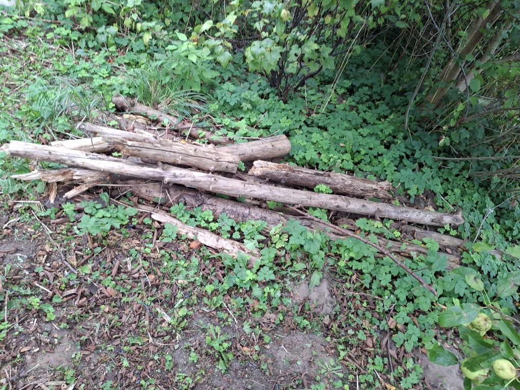 Drewno, drzewo, deski na opał
