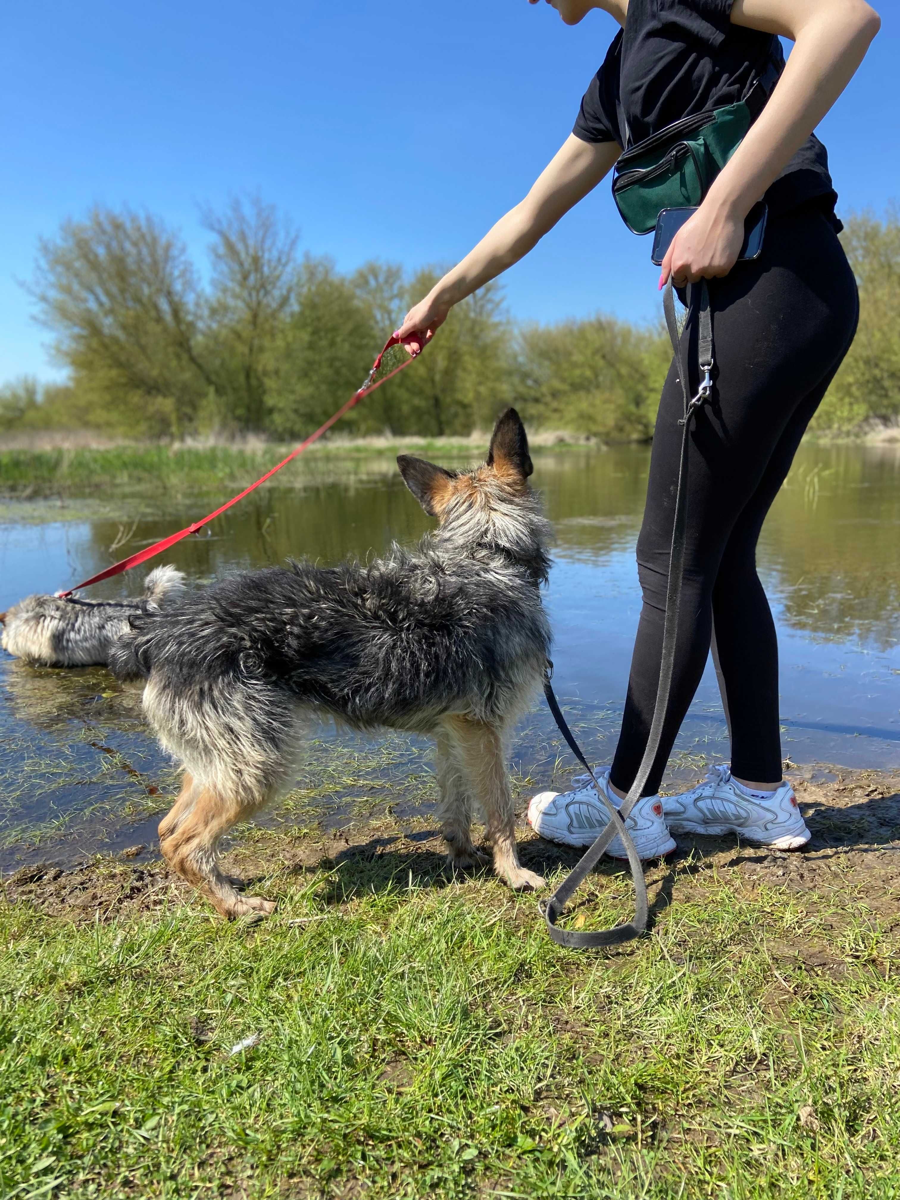 FLORKA - Schronisko Canis w Kruszewie