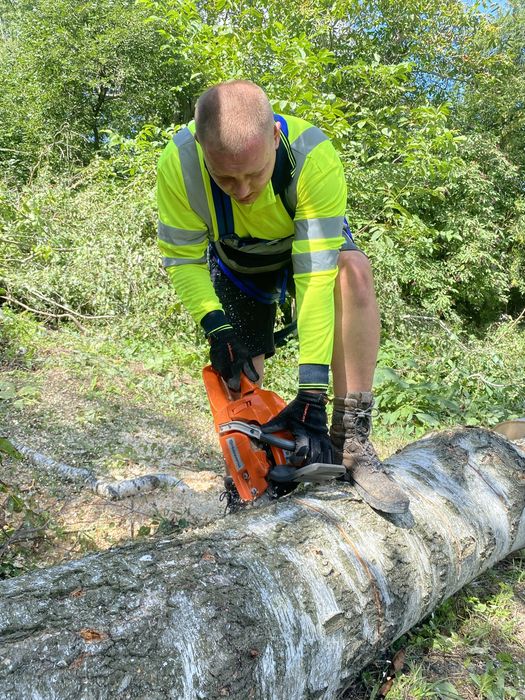 Зрізання дерев, рубання дров ,уборка території .