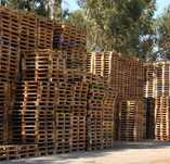 Paletes pallet de madeira