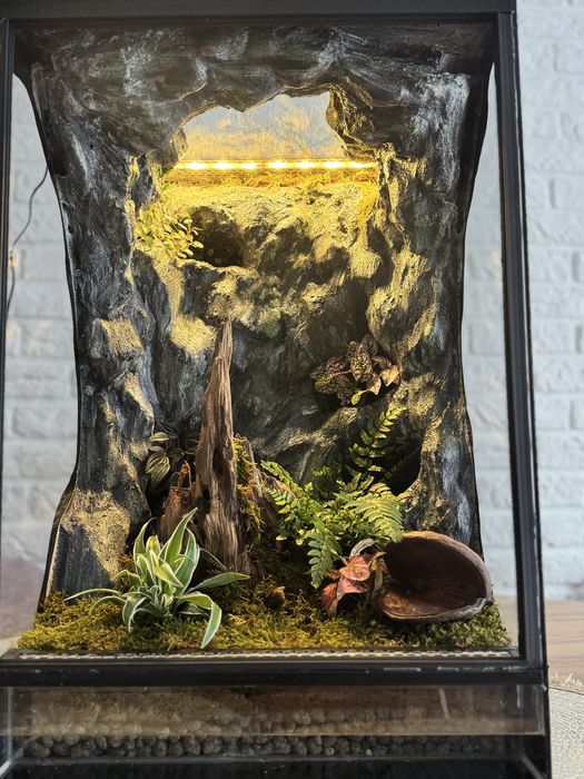 Terrarium tropikalne 40x40x60 idealne dla gekona