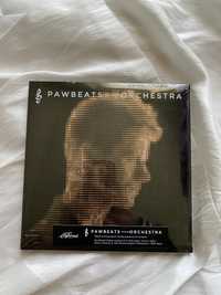 Pawbeats Orchestra płyta nowa