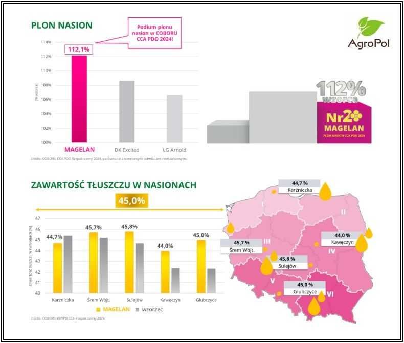 Rzepak Ozimy MAGELAN - Imponujący Plon - Nasiona Rzepaku IGP