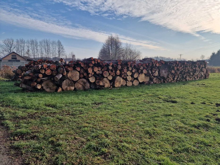 Drewno kominkowe w kłodzie MIX Jesion olcha brzoza topola osika tr.HDS