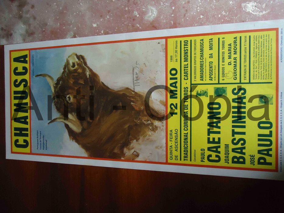 Toiros - Cartazes de Montra 1