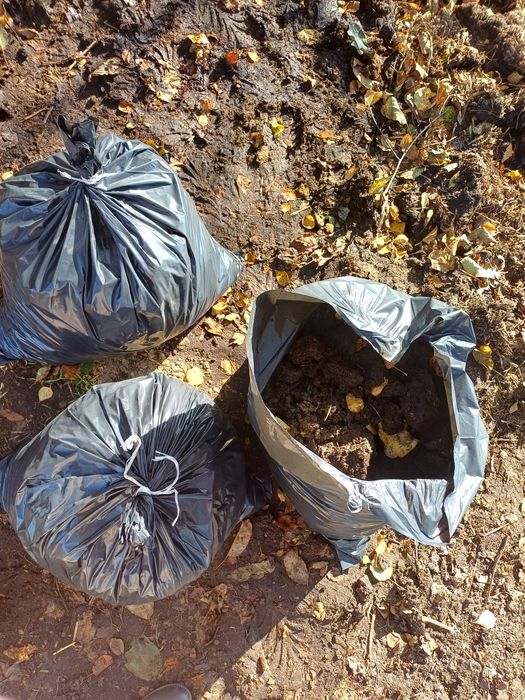 Obornik koński workowany 60L