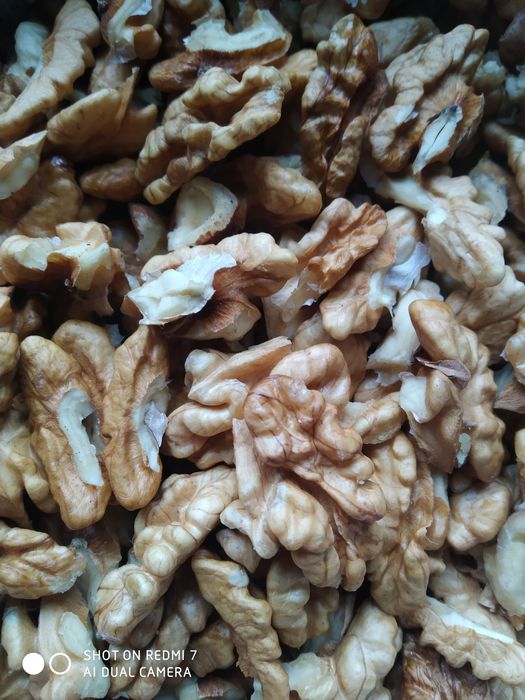 Ядро волоського горіха.