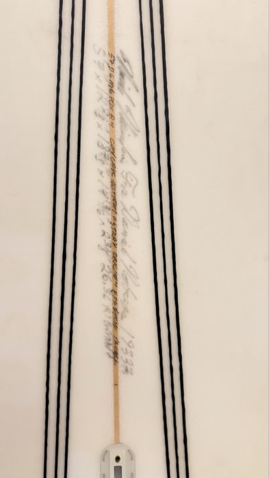 Prancha de surf semente