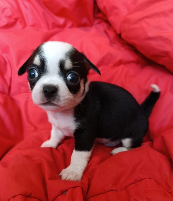 Гарненький хлопчик чекає на родину