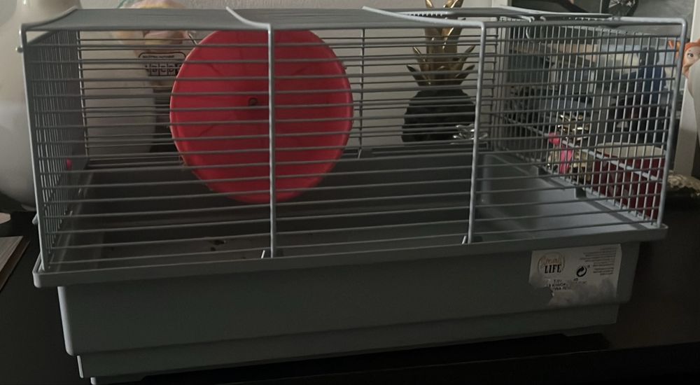 Gaiola para hamsters