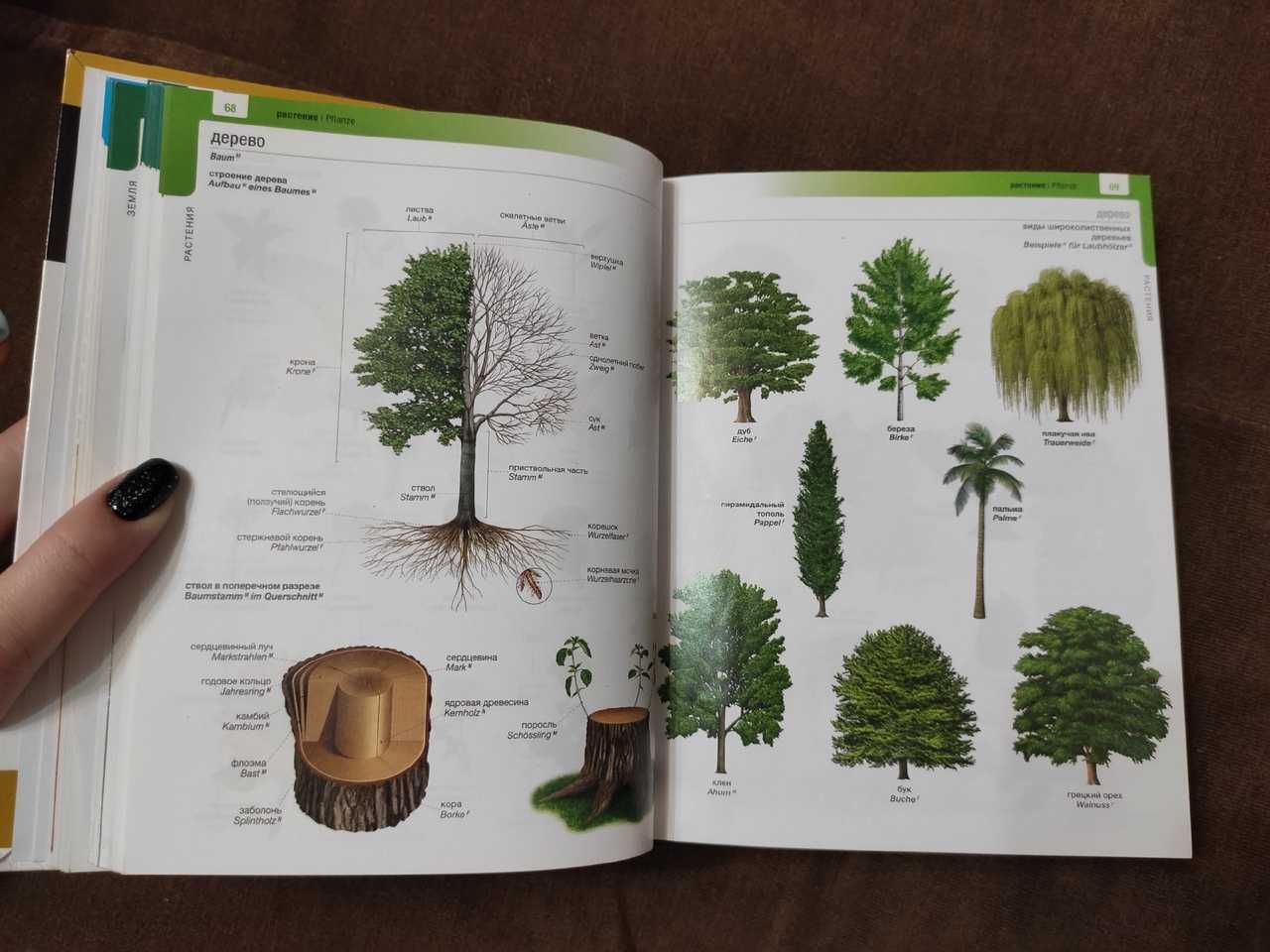 Иллюстрированный Немецко-Русский, Русско-Немецкий мини-словарь.