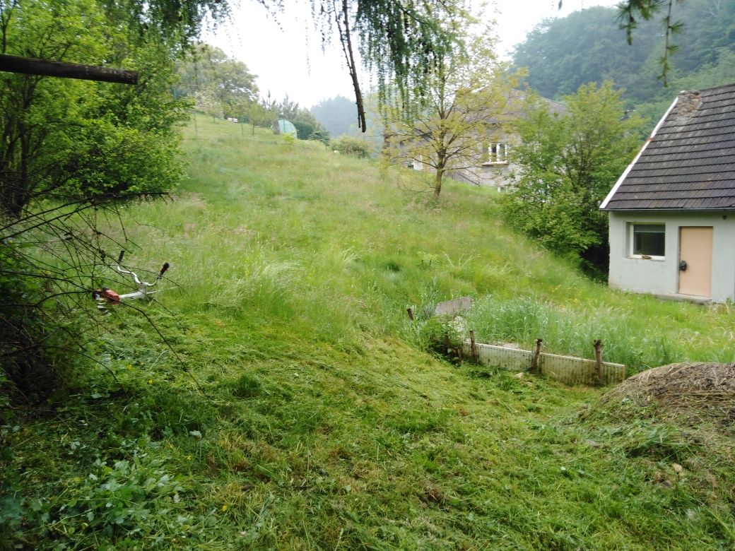 Koszenie traw kosa spalinowa, konkurencyjne ceny.OD ZARAZ