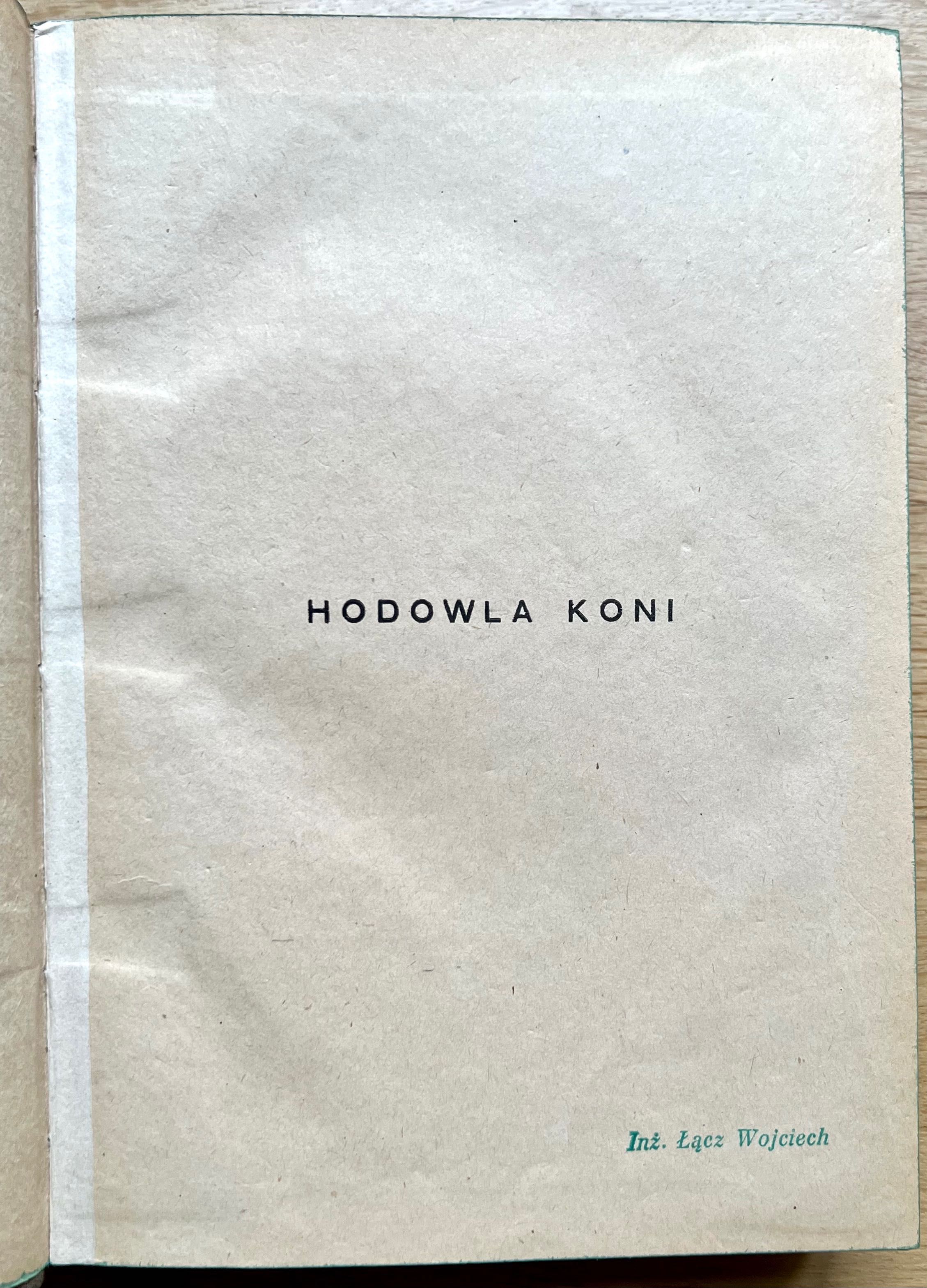 Hodowla koni - Roman Prawocheński