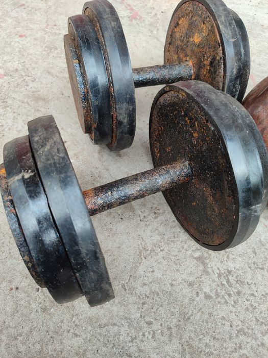 Гирі гантелі по 16 кг