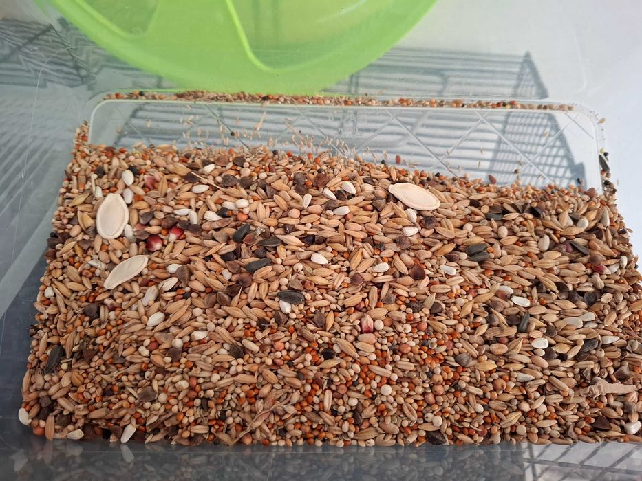 Akcesoria dla małych grzoni