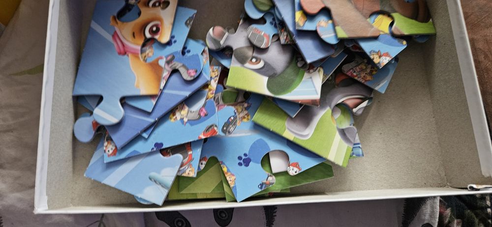 Puzzle psi patrol