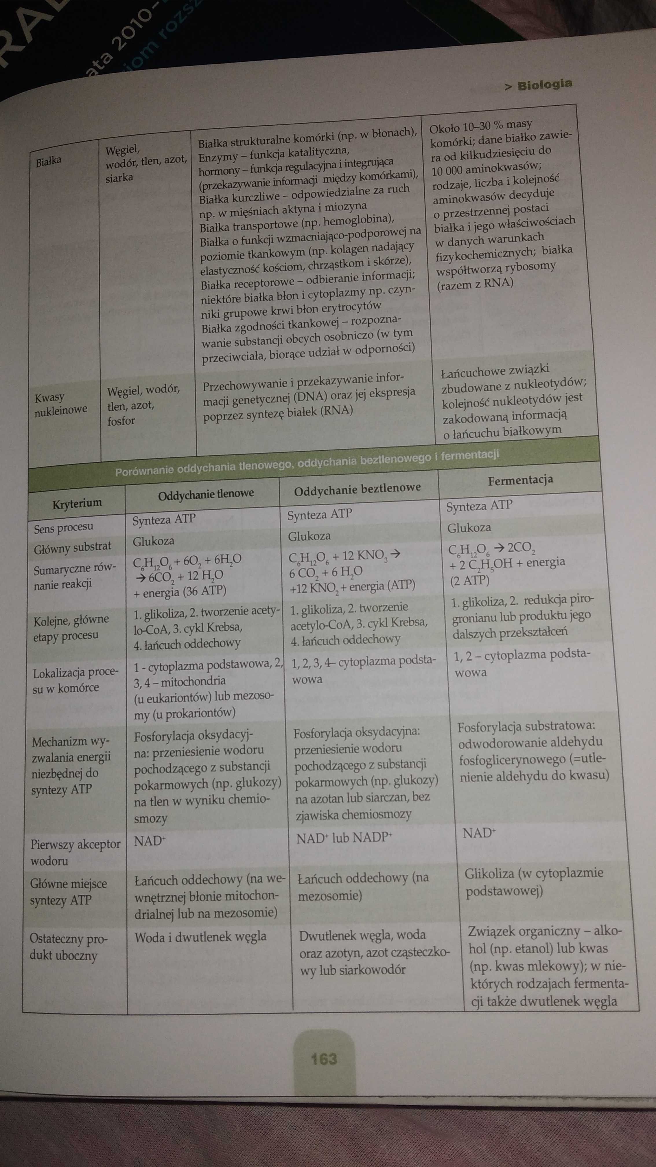 Tablice z: matematyki, fizyki, informatyki, biologii, chemii