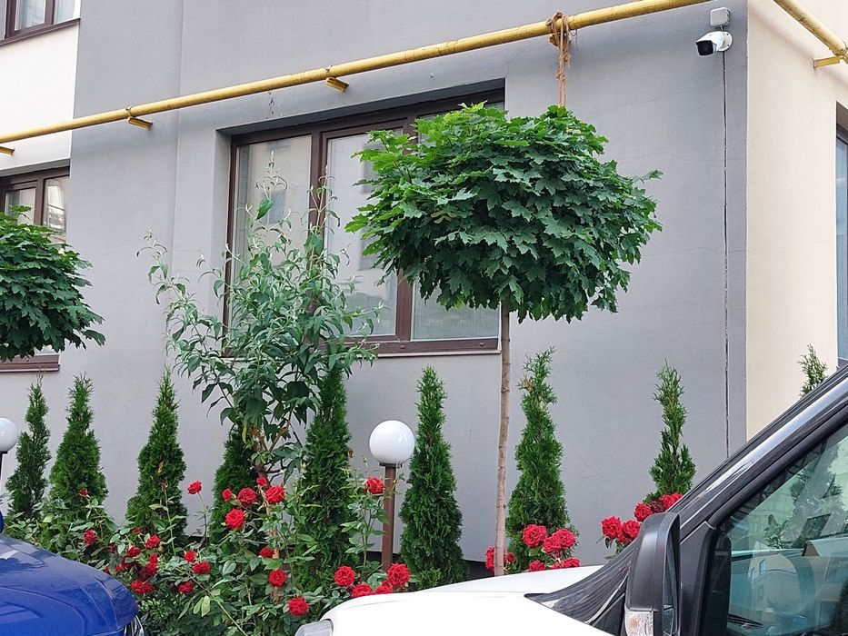 Оренда 2кім. в елітному ЖК Юнона вул.С.Бандери 36