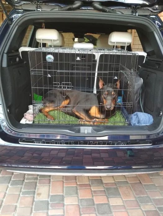 Клітка металева розкладна для собак, котів | Вольер для щенков—НОВИЙ‼️