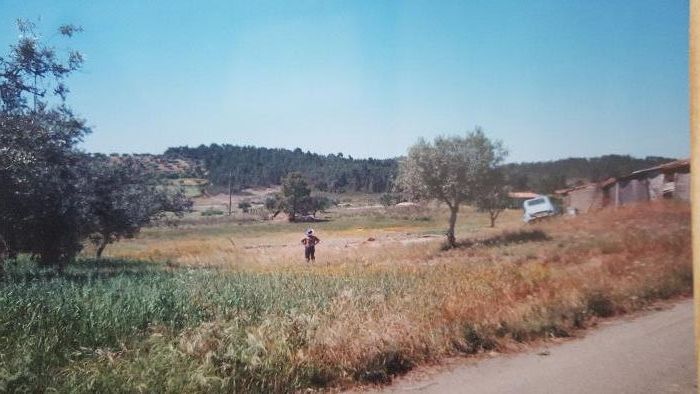 Land / Terreno para construção em Alvisquer