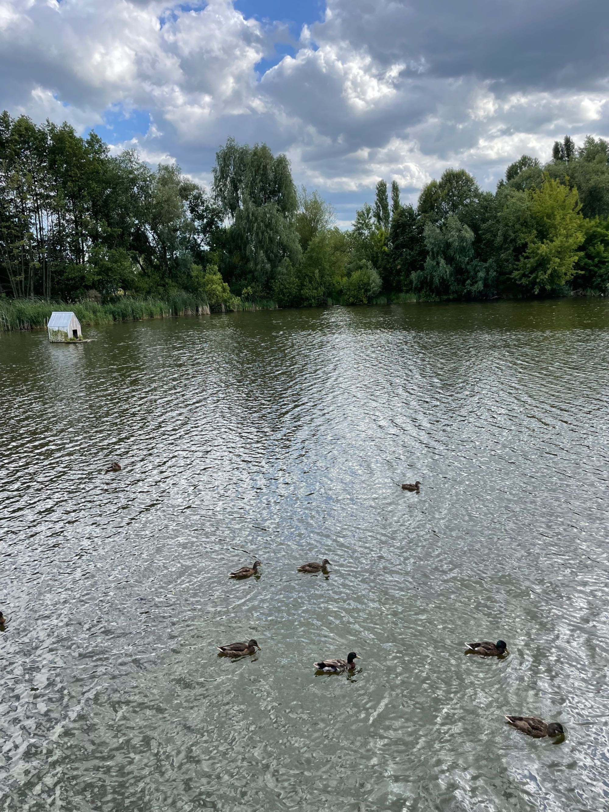 Квартира в Білогородці